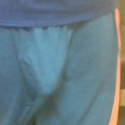 black penis inside pant photo