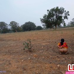 saree piss