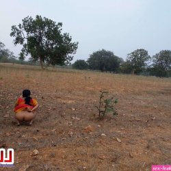 saree piss
