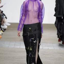 tits seen through transparent clothes