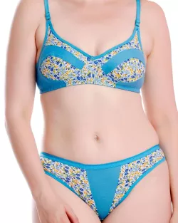 aunty ki panty photo