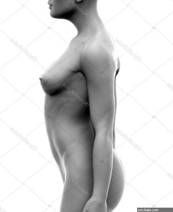 White naked female body Stock Photo by CLIPAREA 74136139