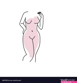 Nude female body line art Royalty Free Vector Image