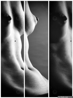 Beauty Naked Female Body Vertical Black And White Banners Photo Background And Picture For Free Download