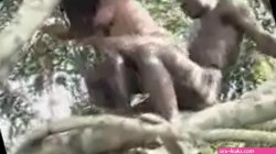 Baise en pleine forêt