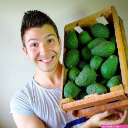 Discuss Everything About Nikocado Avocado Wiki Fandom
