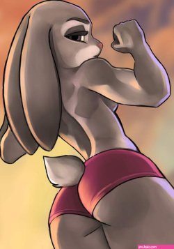 Judy Hopps by aozee Submission