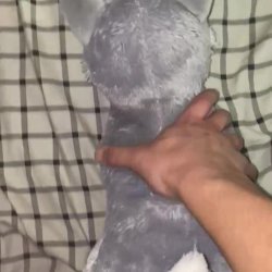 Fucking dog plush