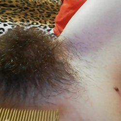 super hairy pussy compilation best bush online by cutieblonde
