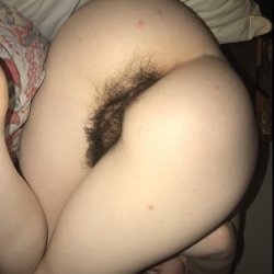 Where does the pussy-bush end and ass-bush begin?