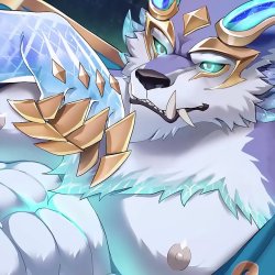Prestige Winterblessed Warwick top Version