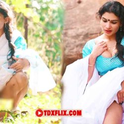 Reshmi R Nair porn video Archives