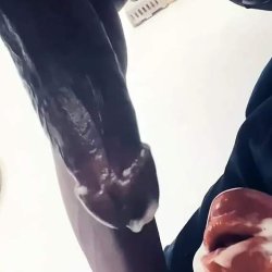 Who Is Next Should I Nut in or Just on Your Face feat. Bbc-godaddy
