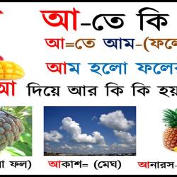 বয স ক আন ট প ছ ফ সব ক