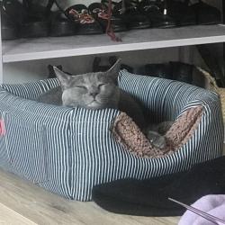 sleepych3w