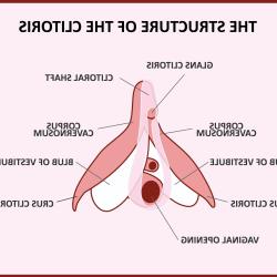 clitoris pictures before and after testosterone