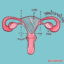 clitoris pictures before and after testosterone