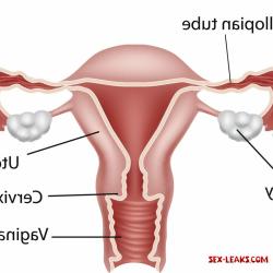 clitoris pictures before and after testosterone