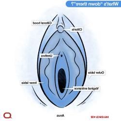 clitoris pictures before and after testosterone