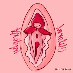 clitoris pictures before and after testosterone
