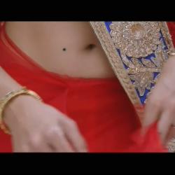masala desi club