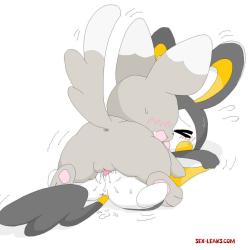 minccino porno