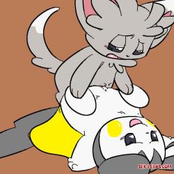 minccino porno
