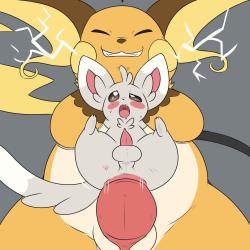 minccino porno