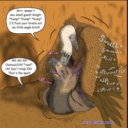 turkey furry porn pics