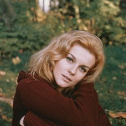 ann-margret dugása