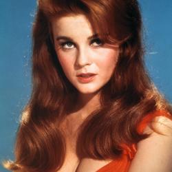 ann-margret dugása