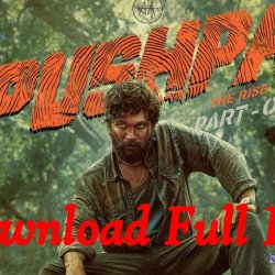 watch pushpa hindi online free