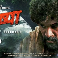 watch pushpa hindi online free