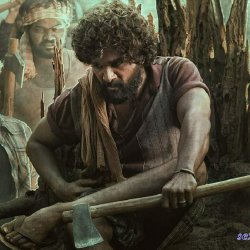 watch pushpa hindi online free