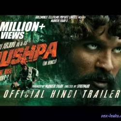 watch pushpa hindi online free
