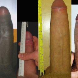 cock comparing wives