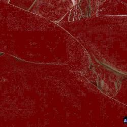 vagina fuck gif