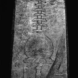pyu-113
