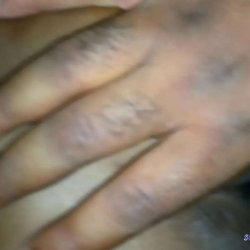 xvideos northkano hausa www.com