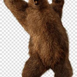 masai kuma