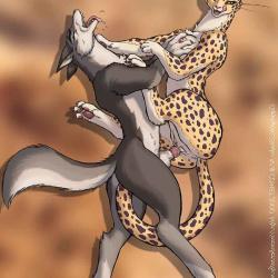 cheetah yiff cum gif