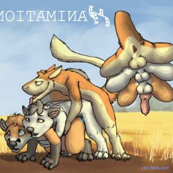 cheetah yiff cum gif