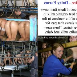 stories of a hucow farm porn