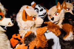 that pervert xxx picture furry